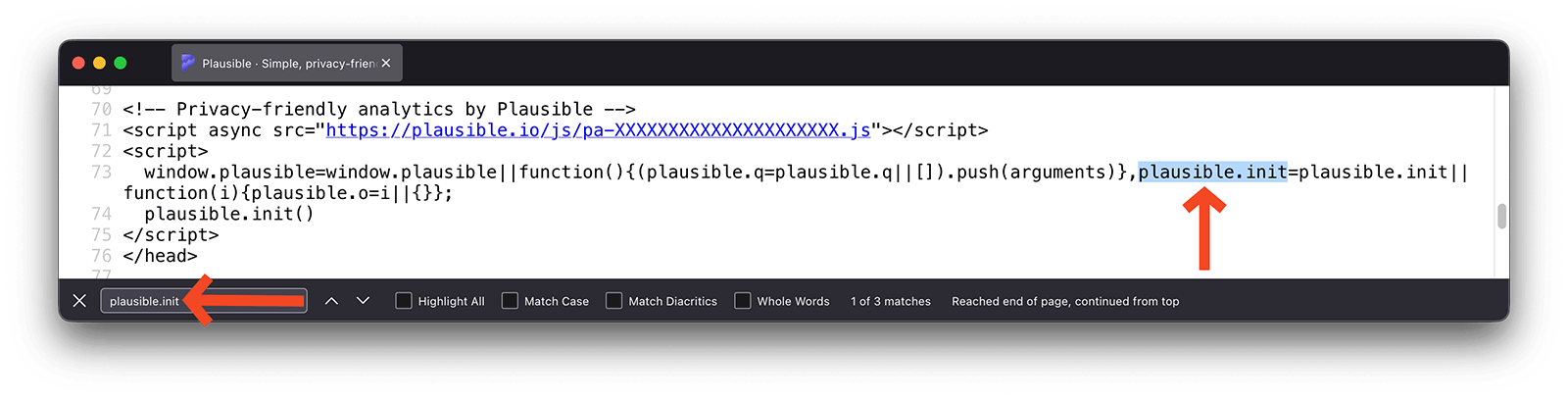 Ensure that the Plausible Analytics script is loading by checking the source code